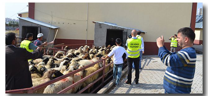 Özedönüş Kurban Bayramında Kobanê için seferber oldu