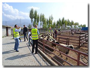 Özedönüş Kurban Bayramında Kobanê için seferber oldu