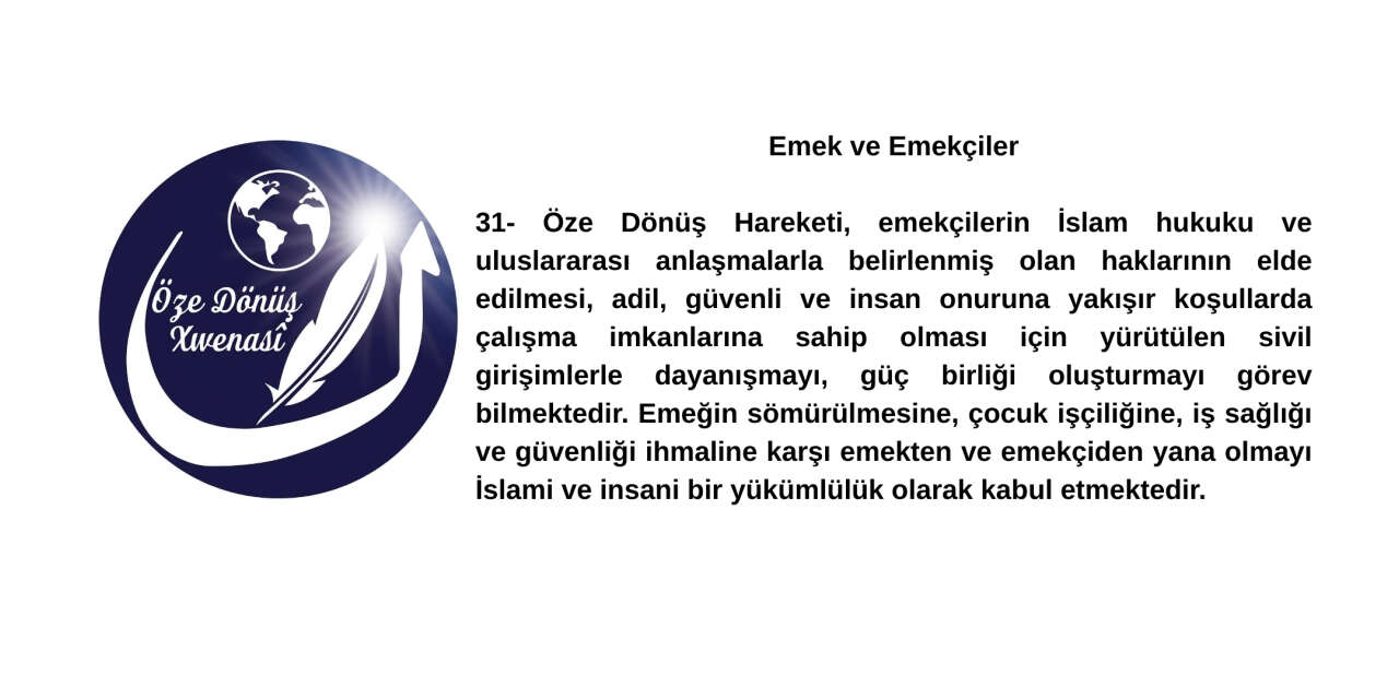 Madde 31